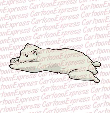 polar bear